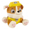 Paw 3