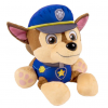 Paw 4