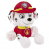 Paw 5